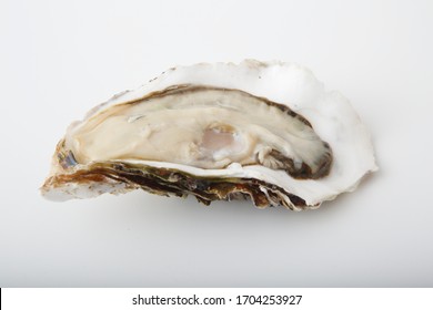 Image of raw oysters from Japan