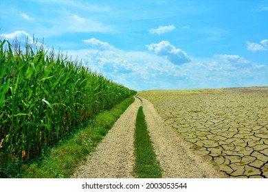 An image representing the difference between green nature and arid land (drought, pollution)