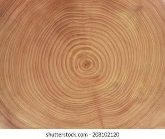 An image of Ring