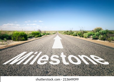 An image of a road to the horizon with text milestone