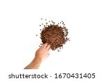 image of Roasted Coffee Beans with white background 