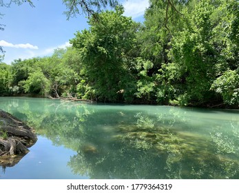 Image Of San Marcos River In Texas, Shot From River Bank. 