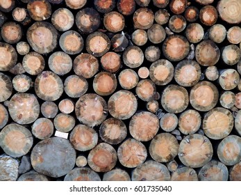 An image of a sawn timber of a close-up