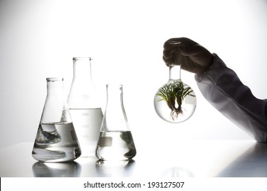 the image of science and plants growth