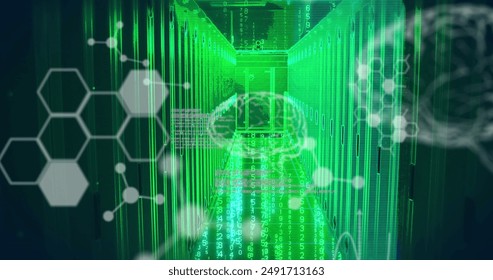Image of scientific data processing and brains over computer servers. Global science, computing, digital interface and data processing concept digitally generated image.