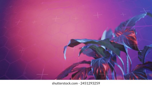 Image of scope scanning and data processing over plant with neon background. Global digital interface, data processing and connections concept digitally generated image.