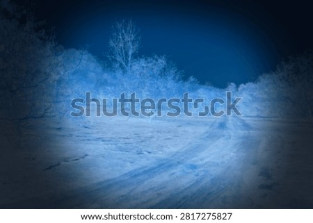 The image seen with a night vision camera of a road through an overgrown forested area at night is dim, unclear, and looks frightening.