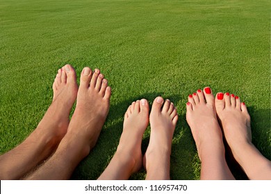 Image of several legs lying on the grass and resting
