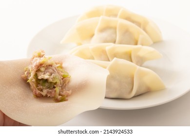 Image shot of handmade dumplings