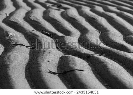 Image showcases coastal sand dunes, forming a captivating and undulating background with rich texture. The sand texture reflects the ever-changing nature and organic beauty of the environment. 