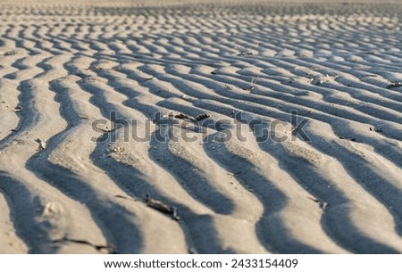 Image showcases coastal sand dunes, forming a captivating and undulating background with rich texture. The sand texture reflects the ever-changing nature and organic beauty of the environment.