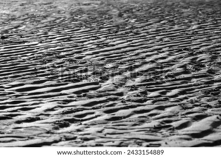 Image showcases coastal sand dunes, forming a captivating and undulating background with rich texture. The sand texture reflects the ever-changing nature and organic beauty of the environment.