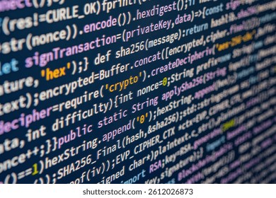 Image showcases a high-resolution, blurred background photo of a computer screen displaying cryptography or coding content The text contains terms like public key, private key, encrypt, and programm