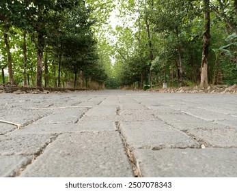 The image showcases a perspective of a brick pathway receding into a verdant forest. The pathway, composed of closely laid bricks, is the focal point, leading the viewer's eye towards. - Powered by Shutterstock