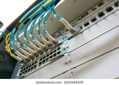 Image showcasing a close-up view of network switch equipment in a data center. The setup features organized cables for efficient connectivity and data transfer.