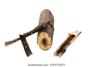 image showing biotic damage: deep holes made by borers in fig tree wood