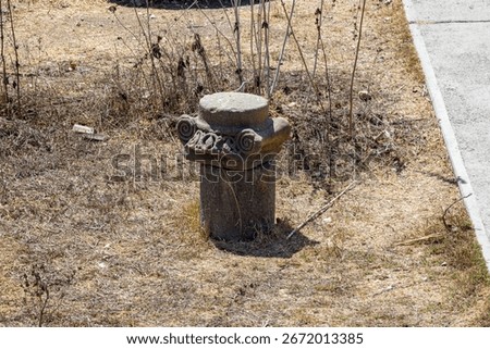 The image shows an ancient stone column capital, likely from a synagogue at en-afek naure vreserve in Northern israel