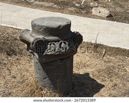 The image shows an ancient stone column capital, likely from a synagogue at en-afek naure vreserve in Northern israel