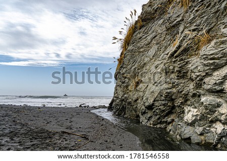 The image shows a cliff extending down to the black sand beach on the coast of California