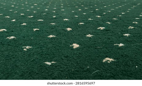 The image shows a close-up view of a dark green fabric with a soft, fuzzy texture. Small cream-colored dots are evenly scattered across the surface, creating a simple and elegant pattern. The low-angle perspective emphasizes the fabric's texture and gives the image a sense of depth. This type of fabric is commonly used for carpets, upholstery, or decorative furnishings.