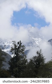The image shows a group of trees with clouds in the background. It depicts an outdoor scene with nature elements like trees and clouds. Tags associated with the image include sky, mountain, fog, snow.