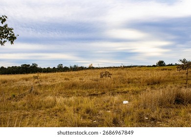 The image shows a large, vacant plot of land, with dry grass and scattered trees  in the distance. 