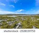 The image shows a rocky shoreline with grassy terrain and a lake under a clear blue sky.