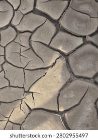 The image shows a top-down view of highly desiccated mud cracks forming distinct polygonal patterns across the parched earth. Deep, dark fractures separate the dry, light-gray sediment tiles, highlighting severe dehydration and erosion. Soft natural sunlight illuminates a diagonal section of the ground, emphasizing the rough, barren texture of the soil crust.