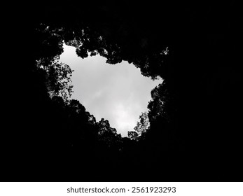 The image shows a view from inside a dark cave looking up at a small opening in the ceiling.  Silhouetted treetops frame the opening, revealing a pale overcast sky beyond. The contrast between the da