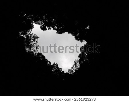 The image shows a view from inside a dark cave looking up at a small opening in the ceiling.  Silhouetted treetops frame the opening, revealing a pale overcast sky beyond. The contrast between the da