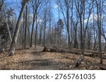 The image shows a walking path in Bronte Creek Provincial Park on a sunny day.