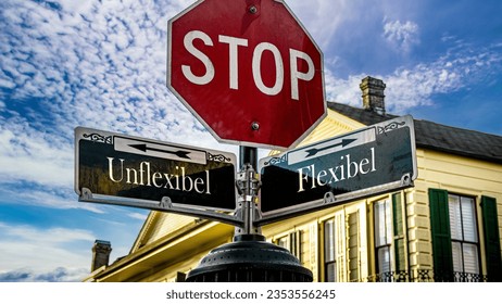 An image with a signpost pointing in two different directions in German. One direction points to Flexible, the other points to Inflexible.