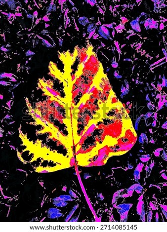 Image of a single leaf, digitally altered. 