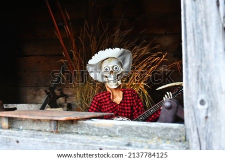 An image of a skeleton set up as an old banjo playing farmer for a Halloween display on a country side ghost walk. 