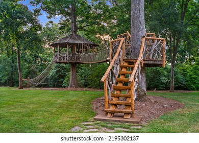 Image Of A Small Tree House In Forest.