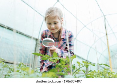 Image Of Smiling Kid With Magnifying Glass Exploring The Nature Outdoors. Cute Caucasian Little Child Girl Looking Through A Magnifying Glass The Plant