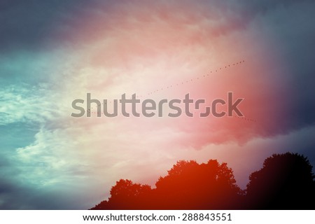 Similar – Image, Stock Photo the other way round