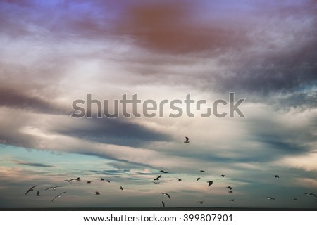 Similar – Migratory birds in the evening sky