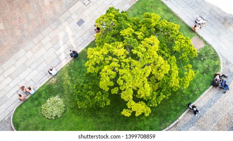 An Image Of Some People From Above Sitting At A Small City Park Green