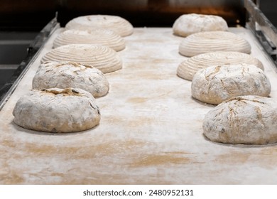 image of sourdough bread dough prepared for baking at Bakery shop in an industrial oven.    - Powered by Shutterstock