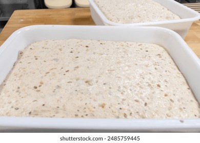 image of sourdough bread dough prepared for baking at Bakery shop in an industrial oven.    - Powered by Shutterstock