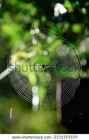 Similar – Image, Stock Photo wire mesh fence Deserted