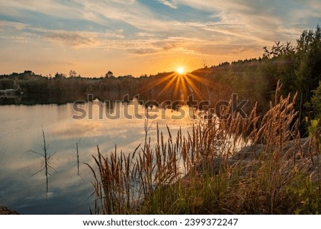 The image is a splendid showcase of nature's evening adieu, featuring the sun dipping low in the sky, casting its golden glow across a calm lake. Wild grasses in the foreground, kissed by the sunlight