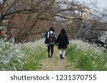 Image of Spring Trail