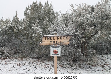 An Image Of Of A Staked Sign That Reads Tree Rock Trail On The Campus Of Western New Mexico During A Snowy Day.