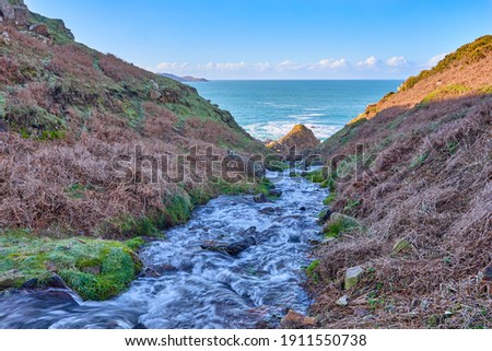 Image of a stream in a valley on the North Coastal Foot Paths in Jersey Channel Islands