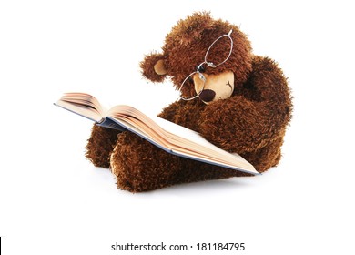 Image of a stuffed bear reading a book isolated on white