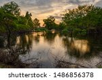 Image of swamp land with a beautiful sunrise in the background