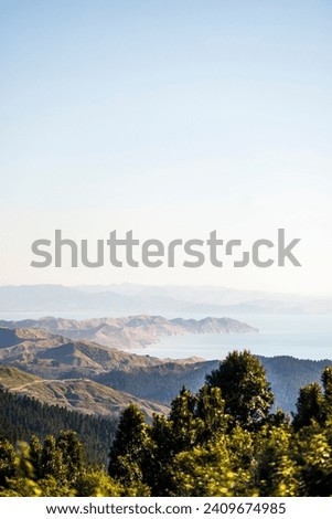 An image taken from the Wharerata Road Lookout located just before Gisborne in New Zealand. In the foreground there are trees, the background contains a large exspanse of water