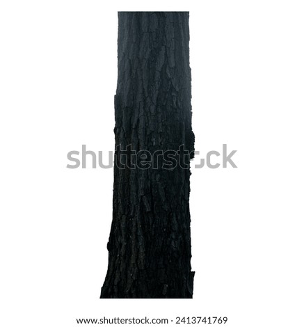 
Image of tree trunk on white background